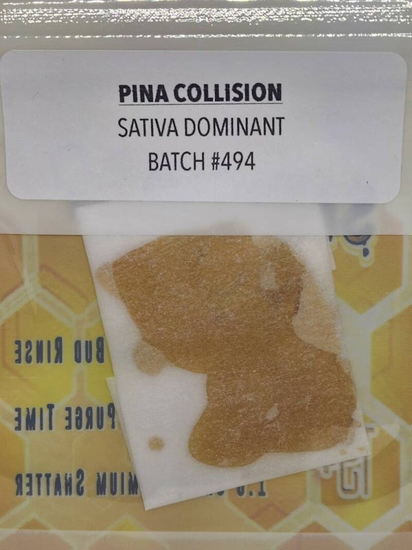 Pina Collision