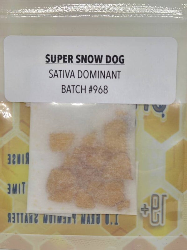 Super snow dog