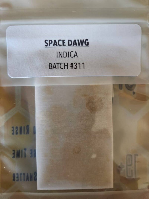Space Dawg