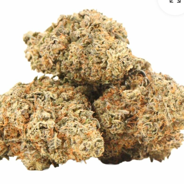 Purple Urkal