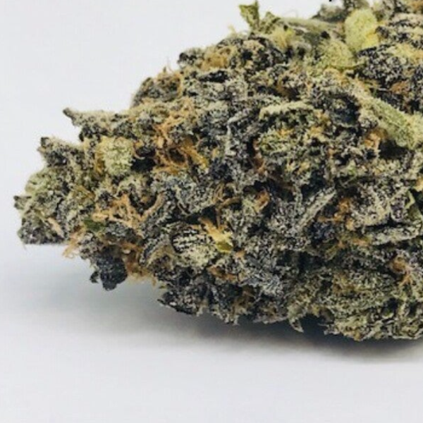 Purple Rain