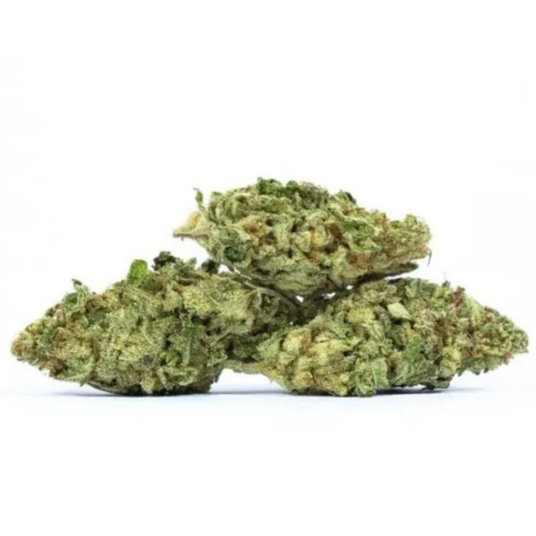 Papaya
