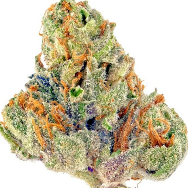 Frosted Gelato
