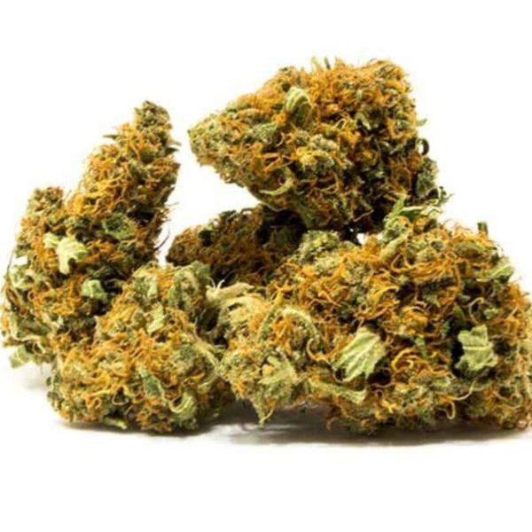 Raspberry Haze