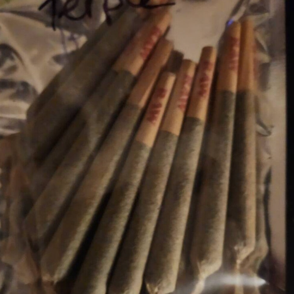Dream Cookies/ 1/2 gram shatter in every pre roll ....
