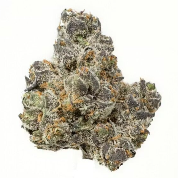 Apple Fritter