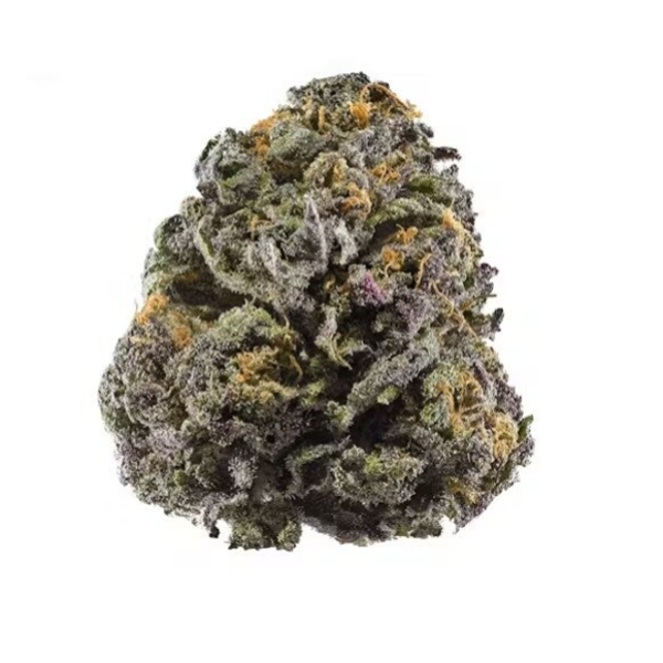 Fritter Glitter
