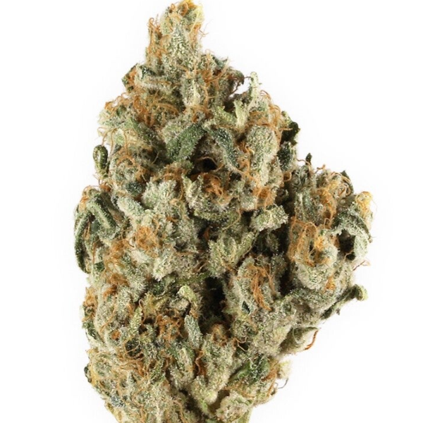 Black Berry Kush