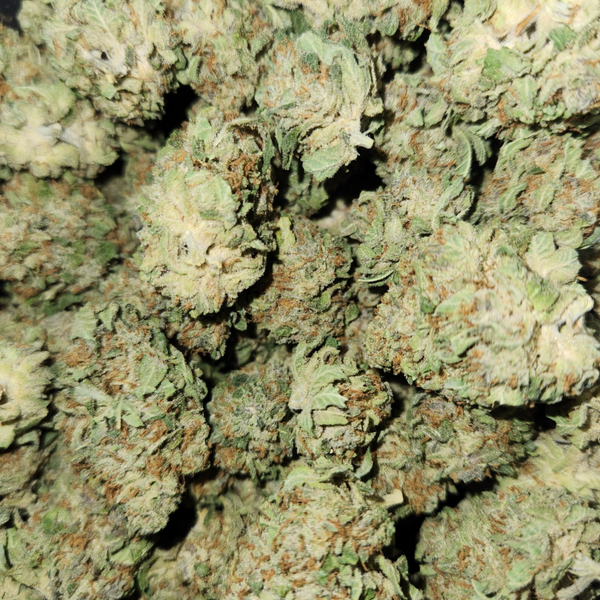 Gorilla glue #4