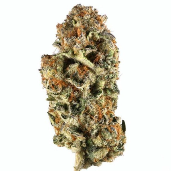 Dosi Fire