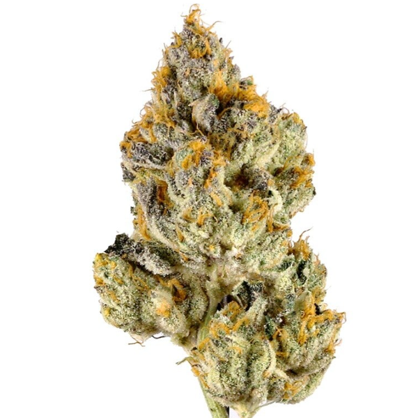 Grapefruit Haze