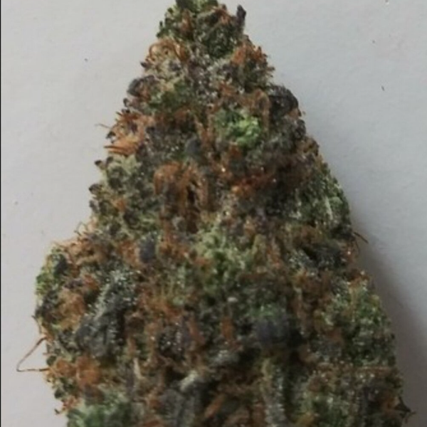 Chem cookies