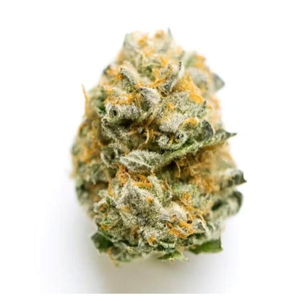 Grease monkey