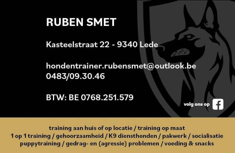 hondentrainer-ruben-smet-standard.jpg