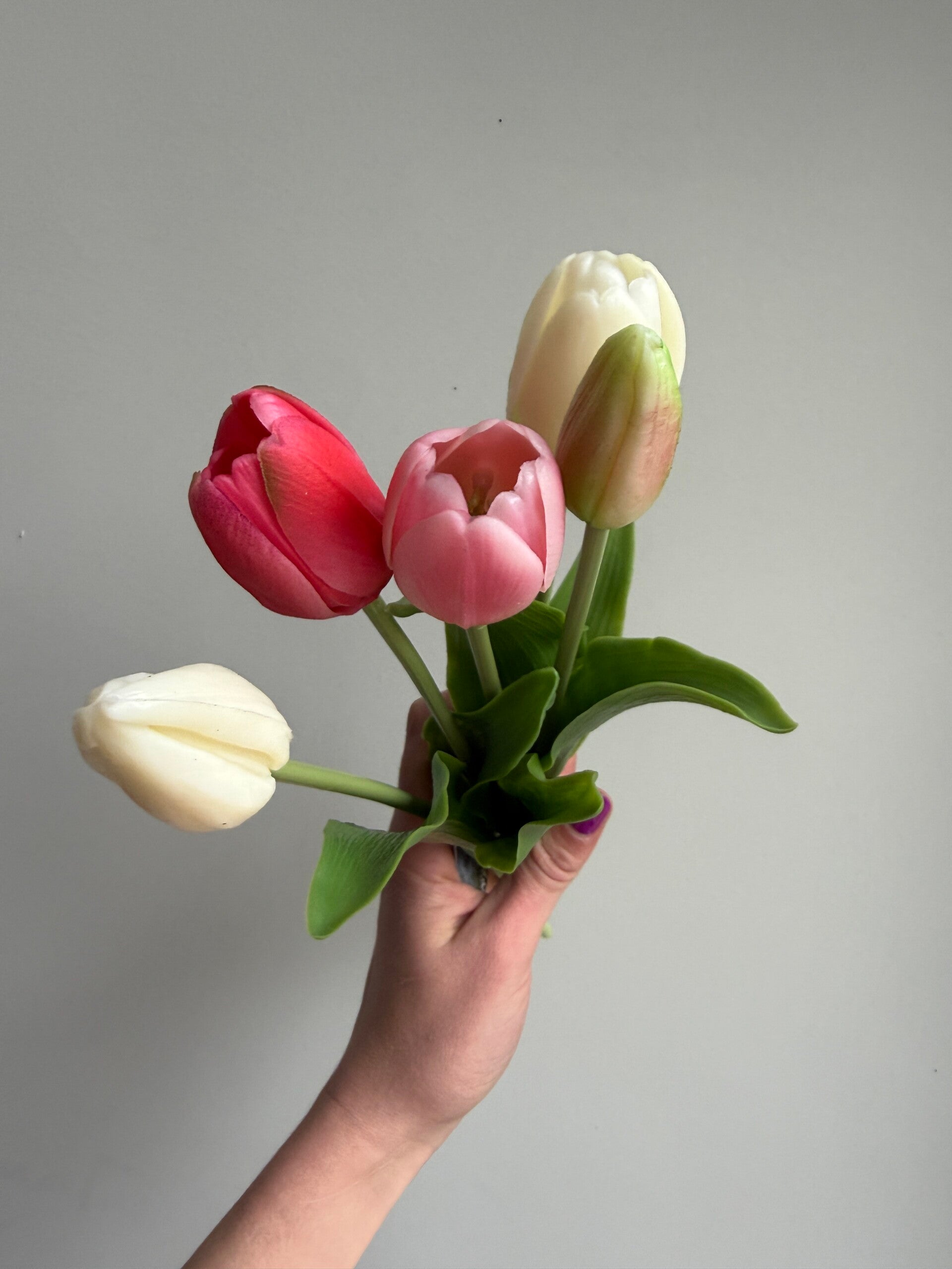 Zijdentulpen – 36 cm lang en in diverse kleuren