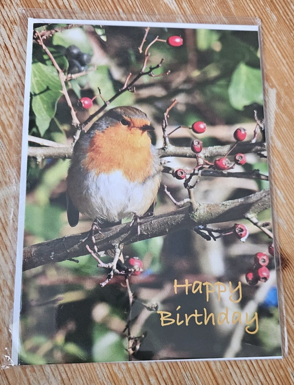 Robin Birthday Card