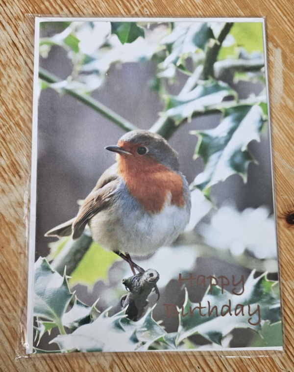 Robin Card