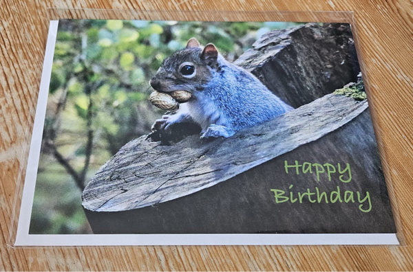 Squirrel birthday Card