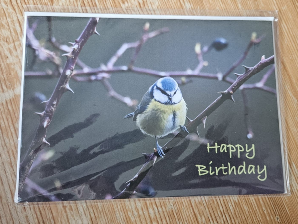 Blue Tit Birthday card
