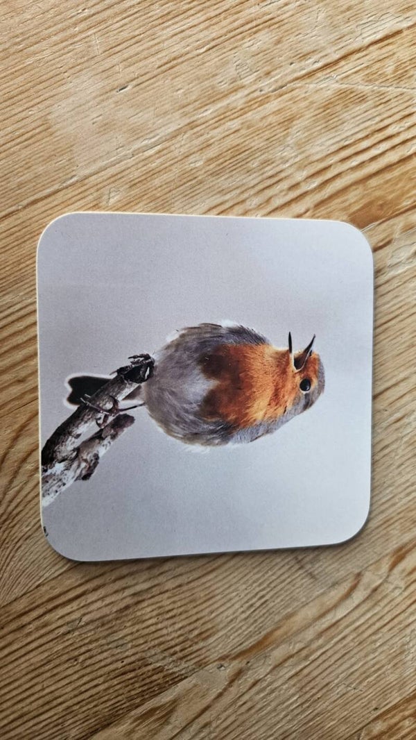 Robin Coaster