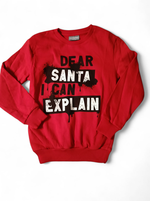 Sweatshirt Santa I can explain