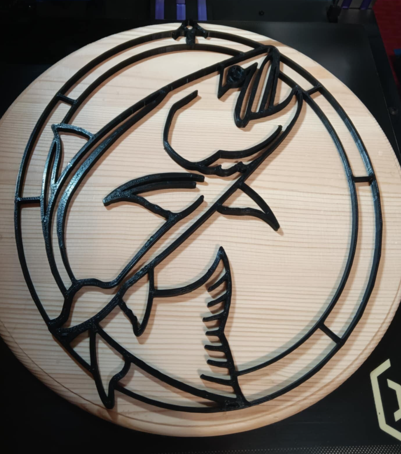 Sun Catcher Resin Frame - Salmon