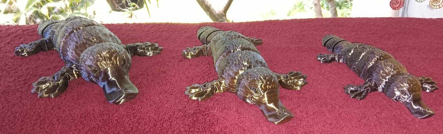 platypus-1-high-a8dweu.jpg?