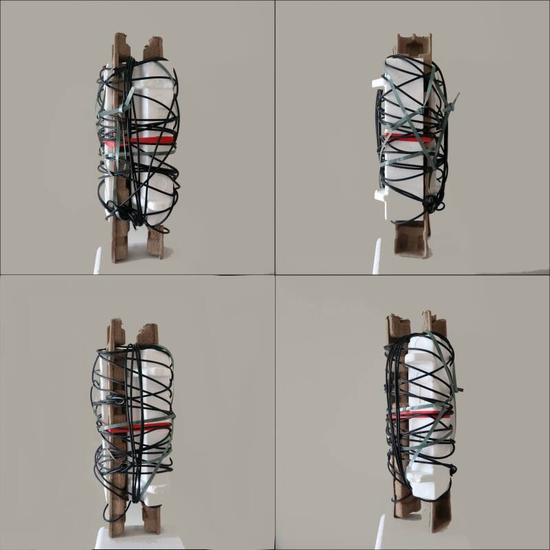 paranoia folie psychiatrie sculpture conceptuel art