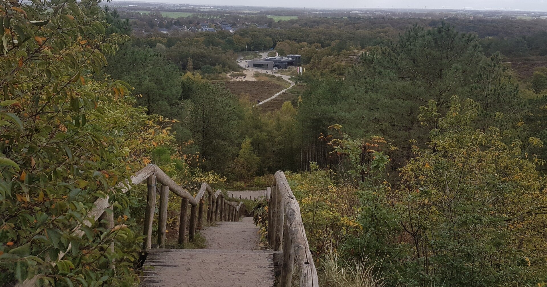 7-trappen-standard.jpg