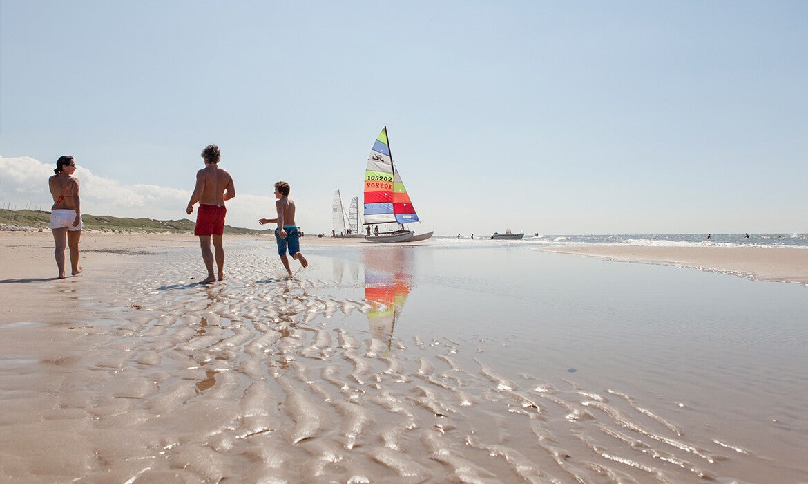 bergen-aan-zee-standard-dz9m43.jpg