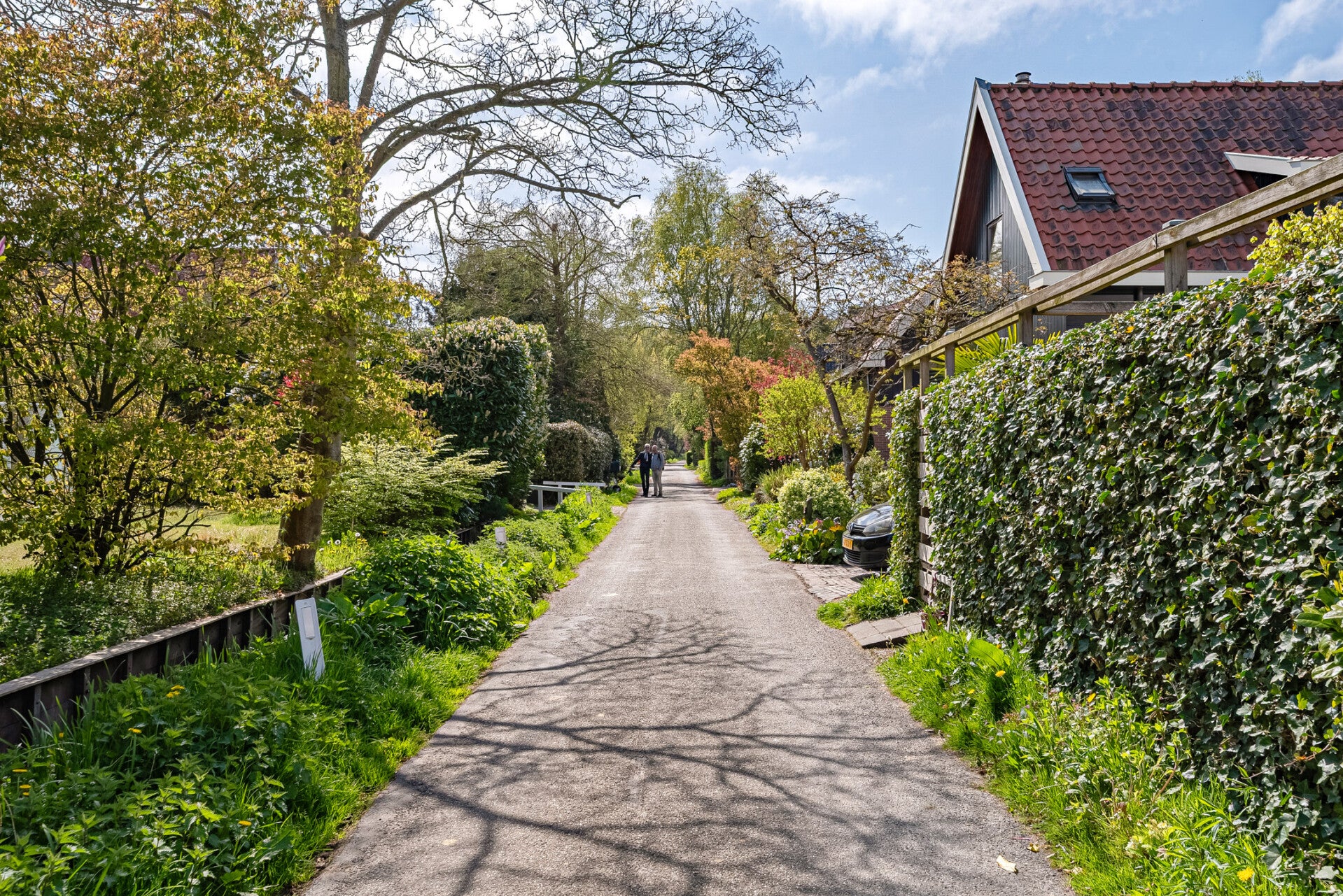 omgeving-i-standard.jpg