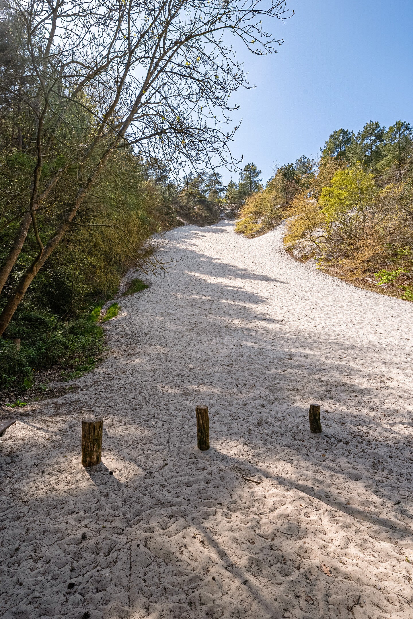 omgeving-ii-standard-h3ob21.jpg
