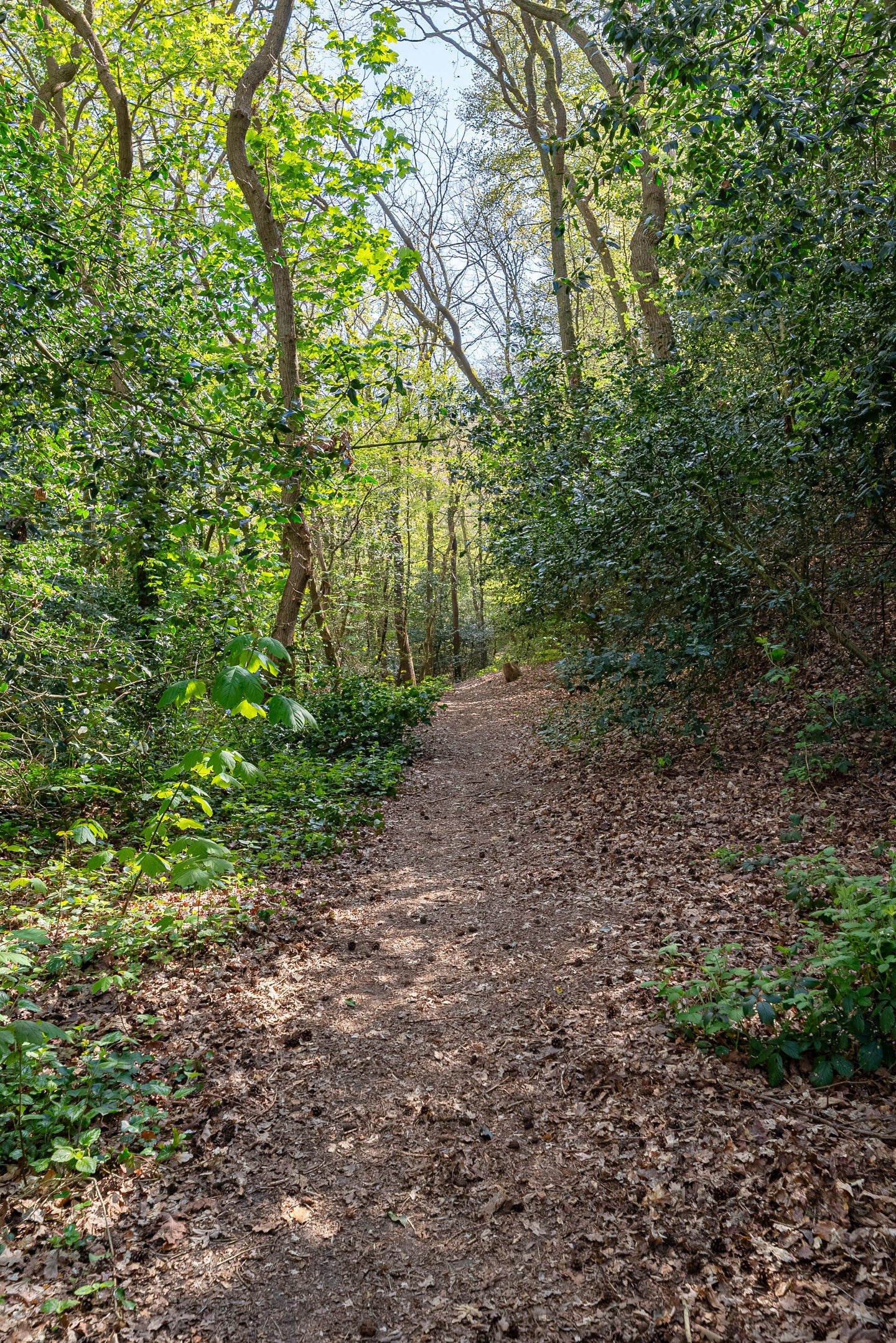 omgeving-iii-standard.jpg