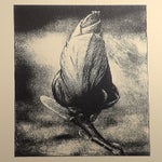 magnolia-delft-1-standard-f28ht1.jpg