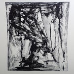 zantedescia-black-standard-y4iln4.jpg