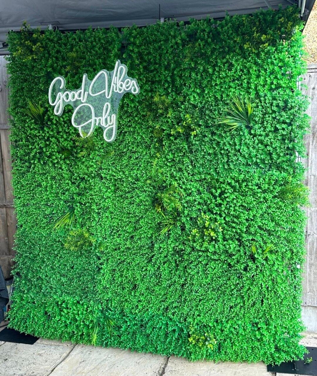 grass-standard.jpg