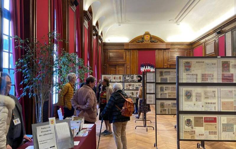 Découverte des collections 