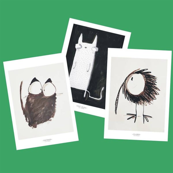 Coffret Collection 3 A6