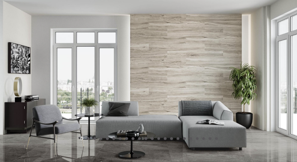 Carrelage 120x60  Ells