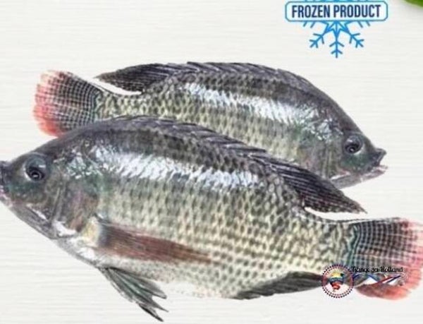 Tilapia 500-700g