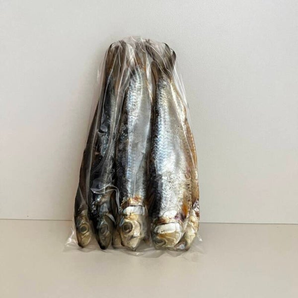 Tunsoy Dried Fish 100g