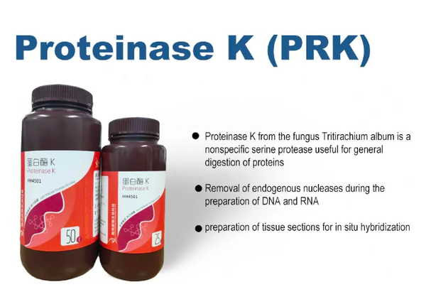 Proteinase K(PRK)