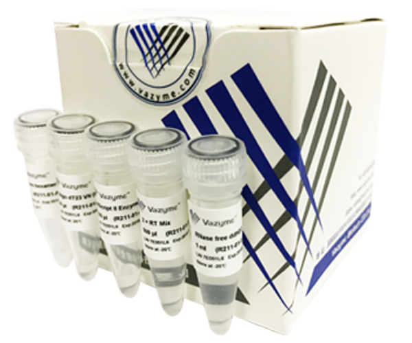 HiScript II 1st Strand cDNA Synthesis Kit