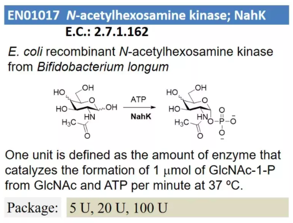 N-acetylhexosamine kinase; NahK