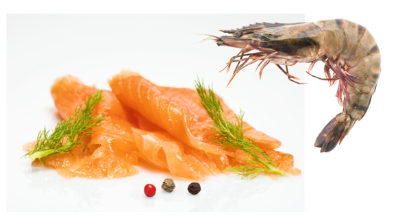 Grijze garnaalsalade & zalm