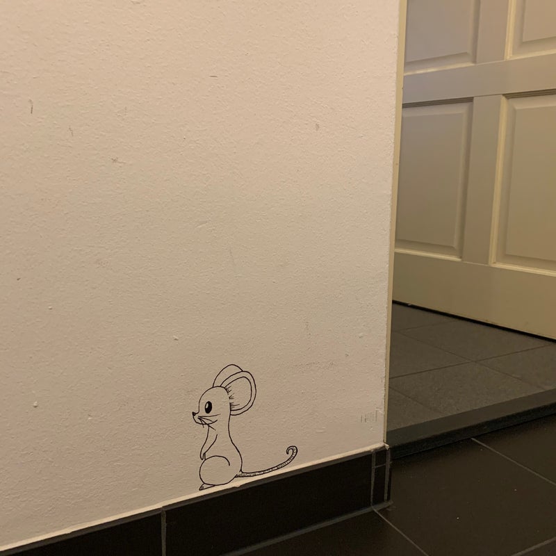 Nieuw huisdiertje in de praktijk