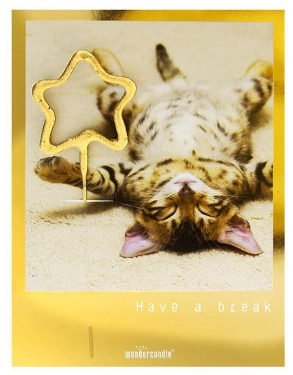 HAVE A BREAK