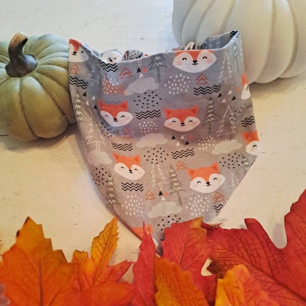 Waldfuchs 🦊