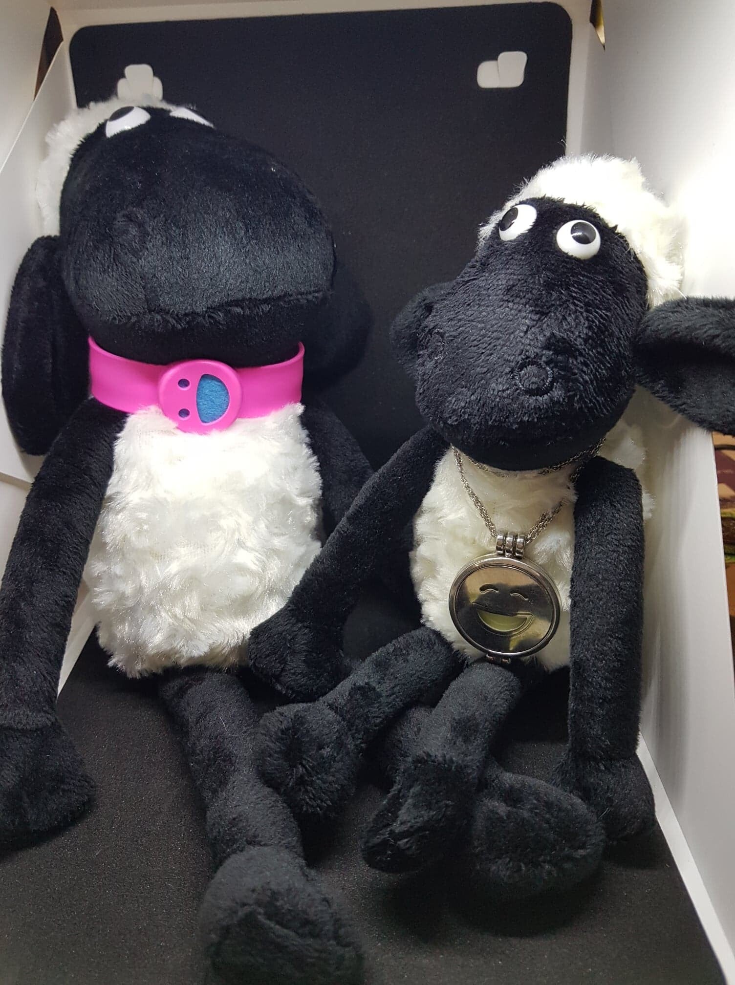 shaun het schaap