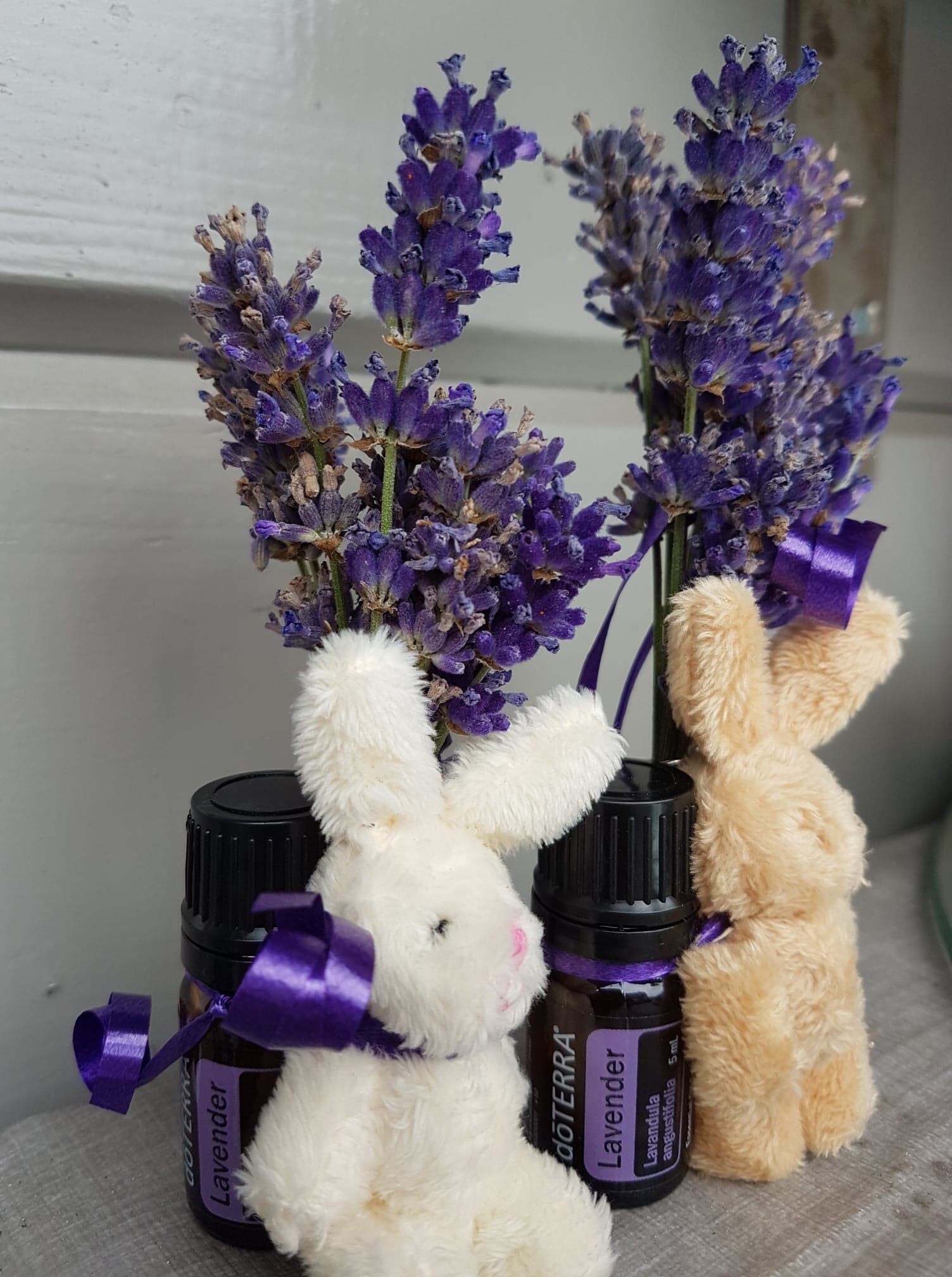 Doterra oliën lavendel